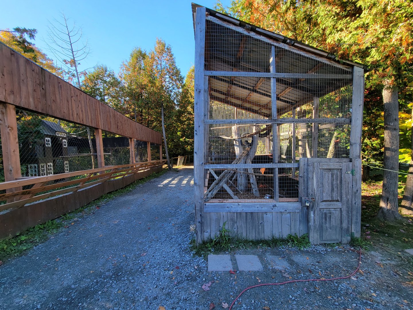 Miller Zoo - Coatis on left, some sort of hawk on right