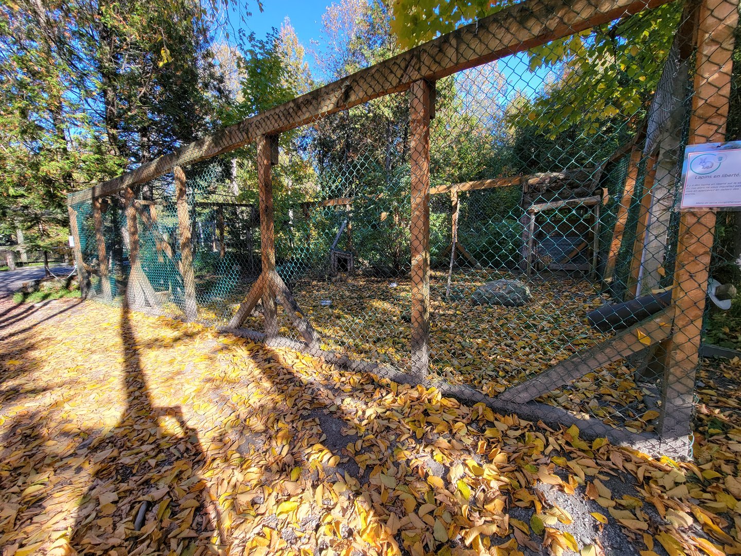 Miller Zoo - Domestic rabbits