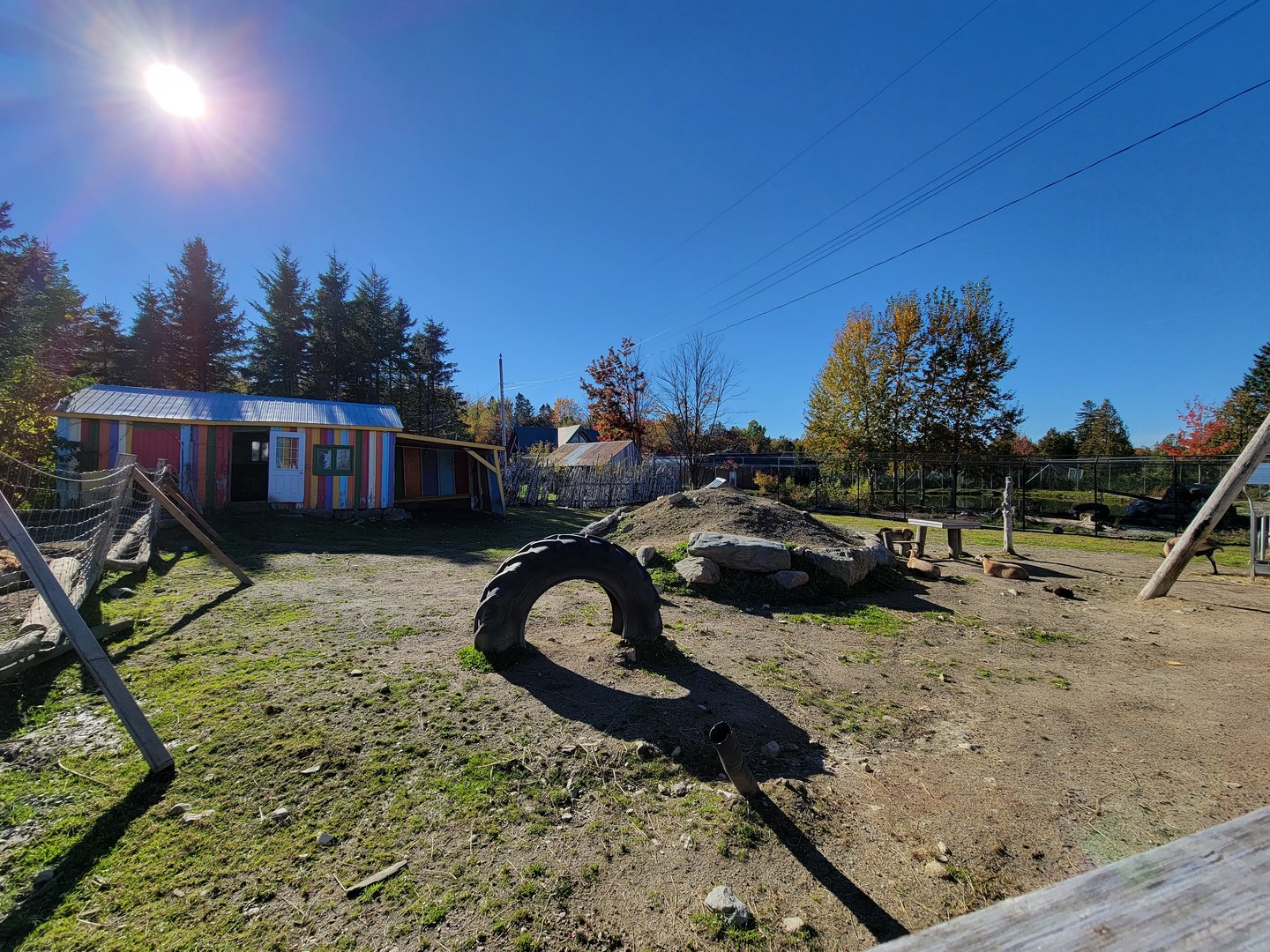 Miller Zoo - Domestic sheep, goats, and rabbits