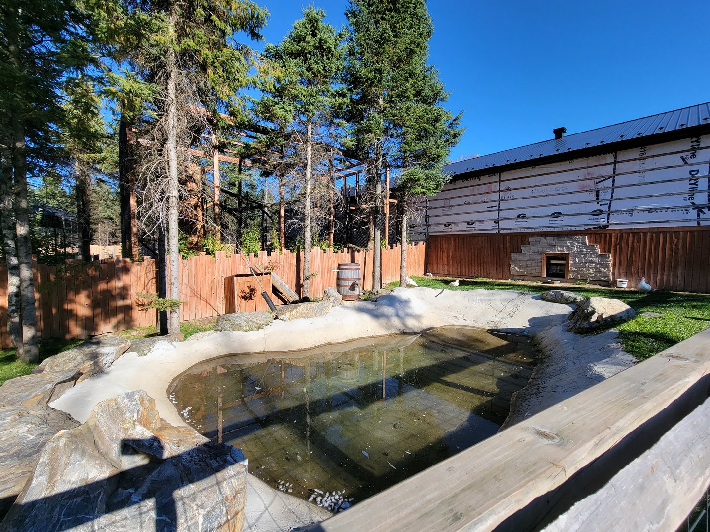 Miller Zoo - Domestic waterfowl yard