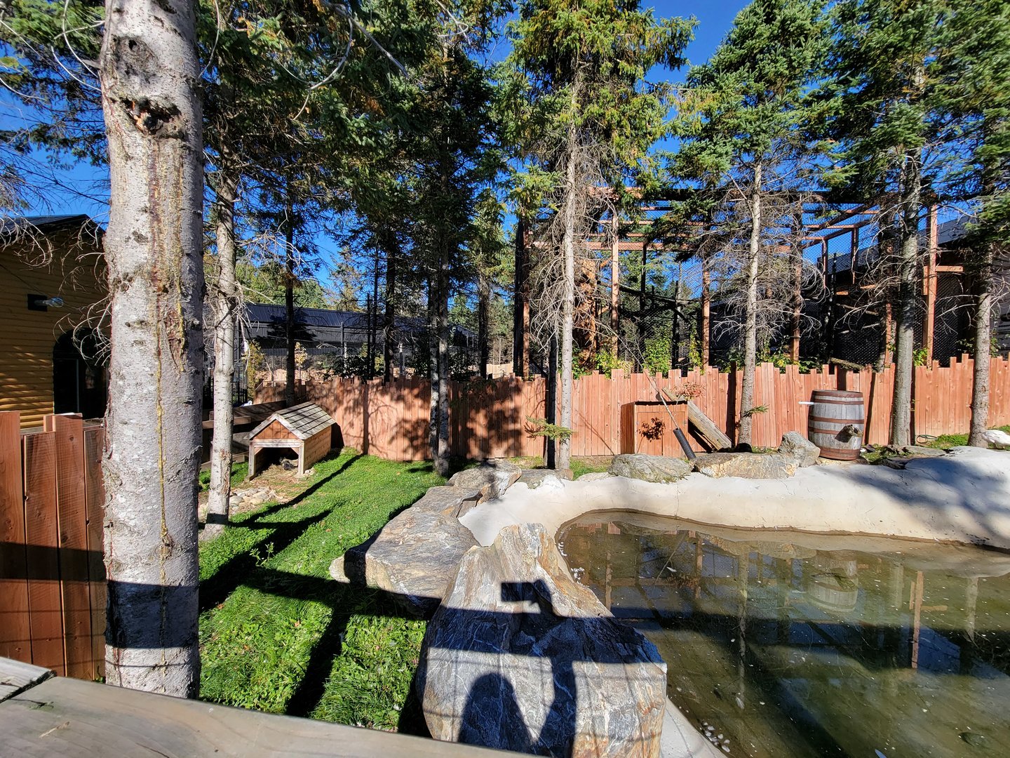 Miller Zoo - Domestic waterfowl yard