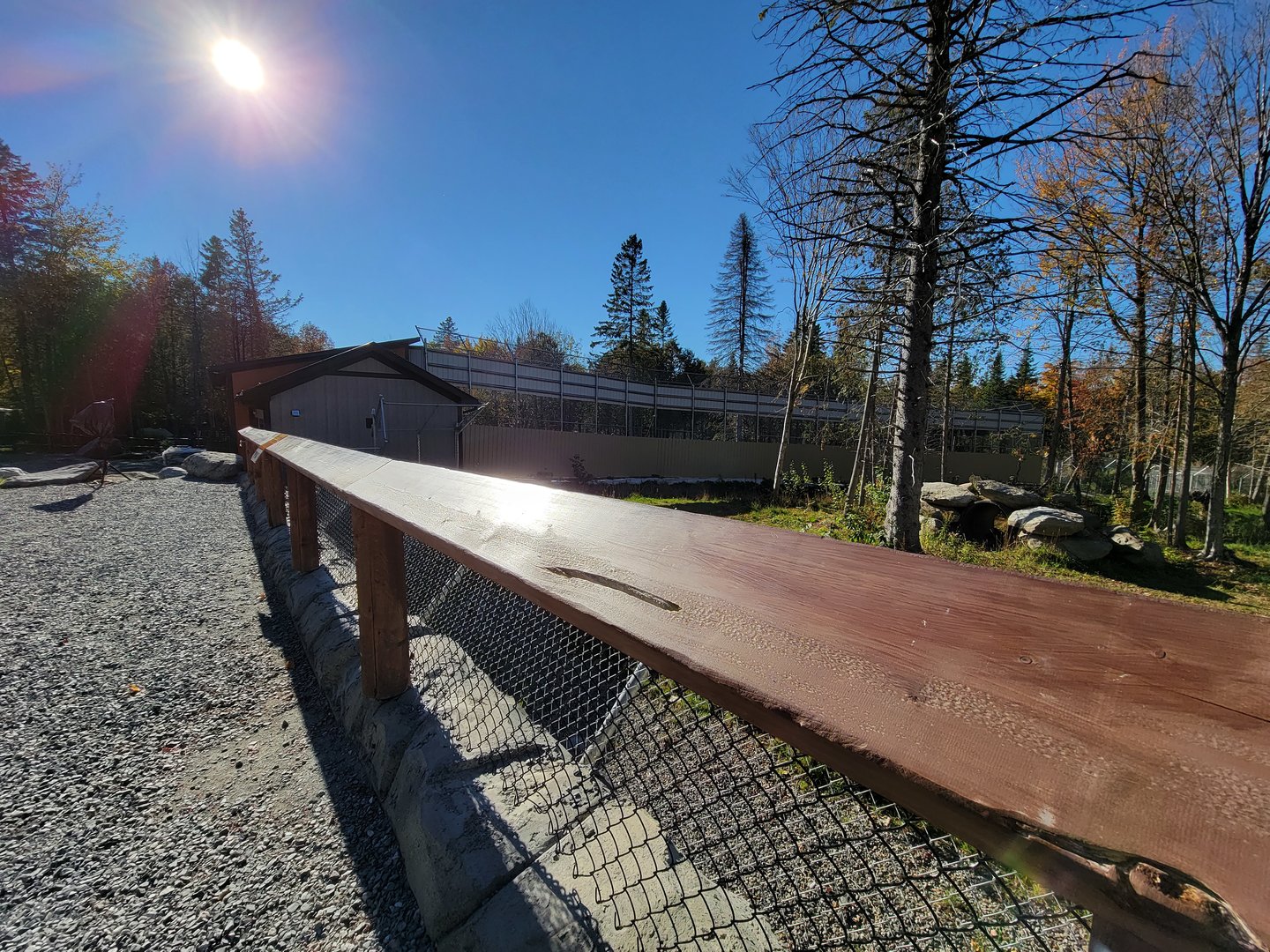 Miller Zoo - Fence between hyenas and lions