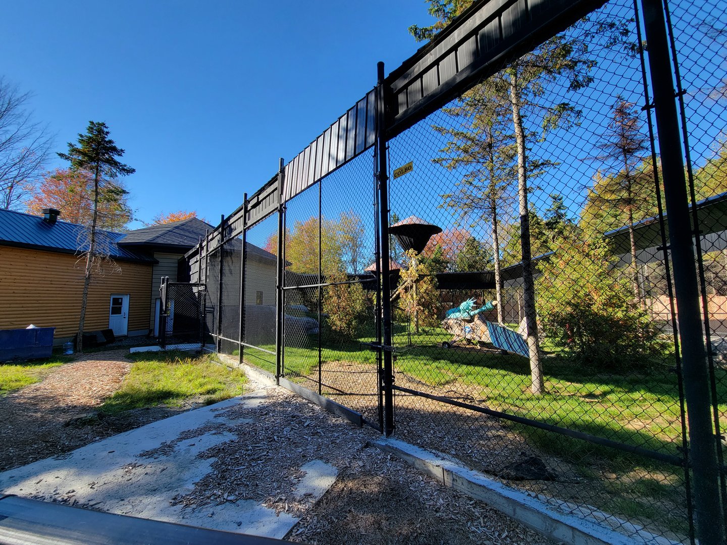 Miller Zoo - Hamadryas, olive, and hybrid baboons