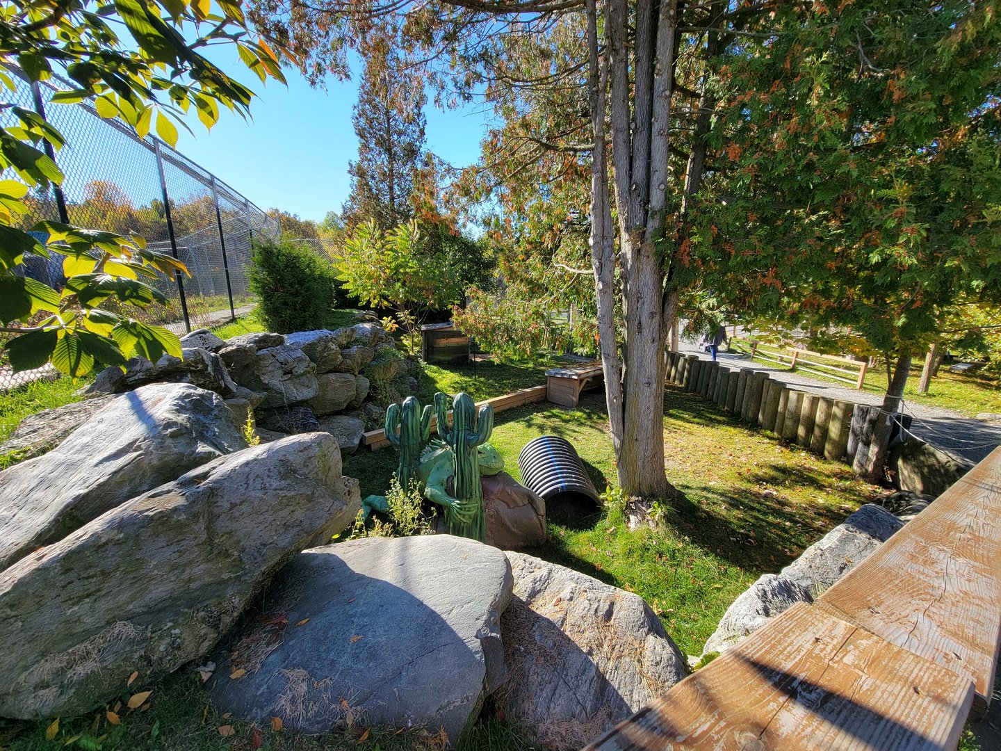 Miller Zoo - Iguana home in warmer weather, I assume