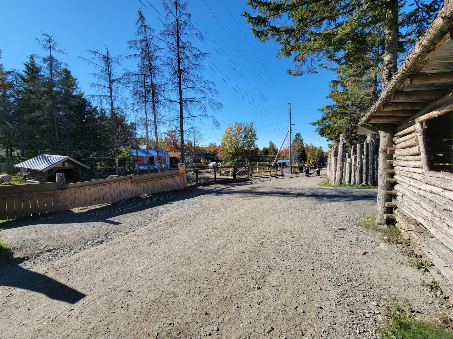 Miller Zoo - Main path, farm animals on the left