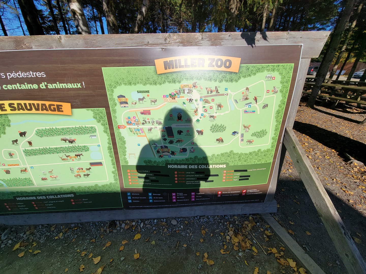 Miller Zoo - Map, roughly correct