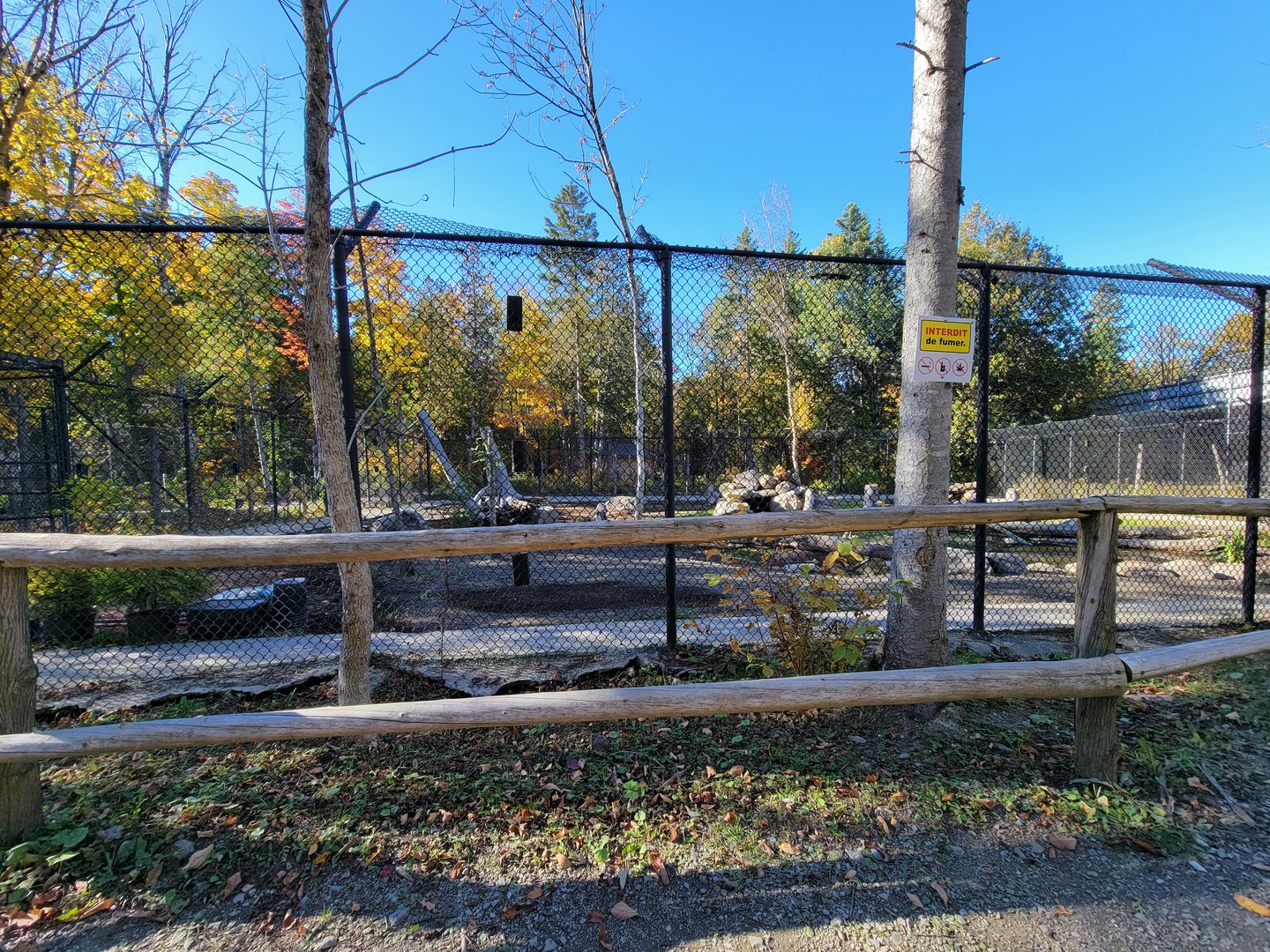 Miller Zoo - New/refurbished? exhibit, unsigned