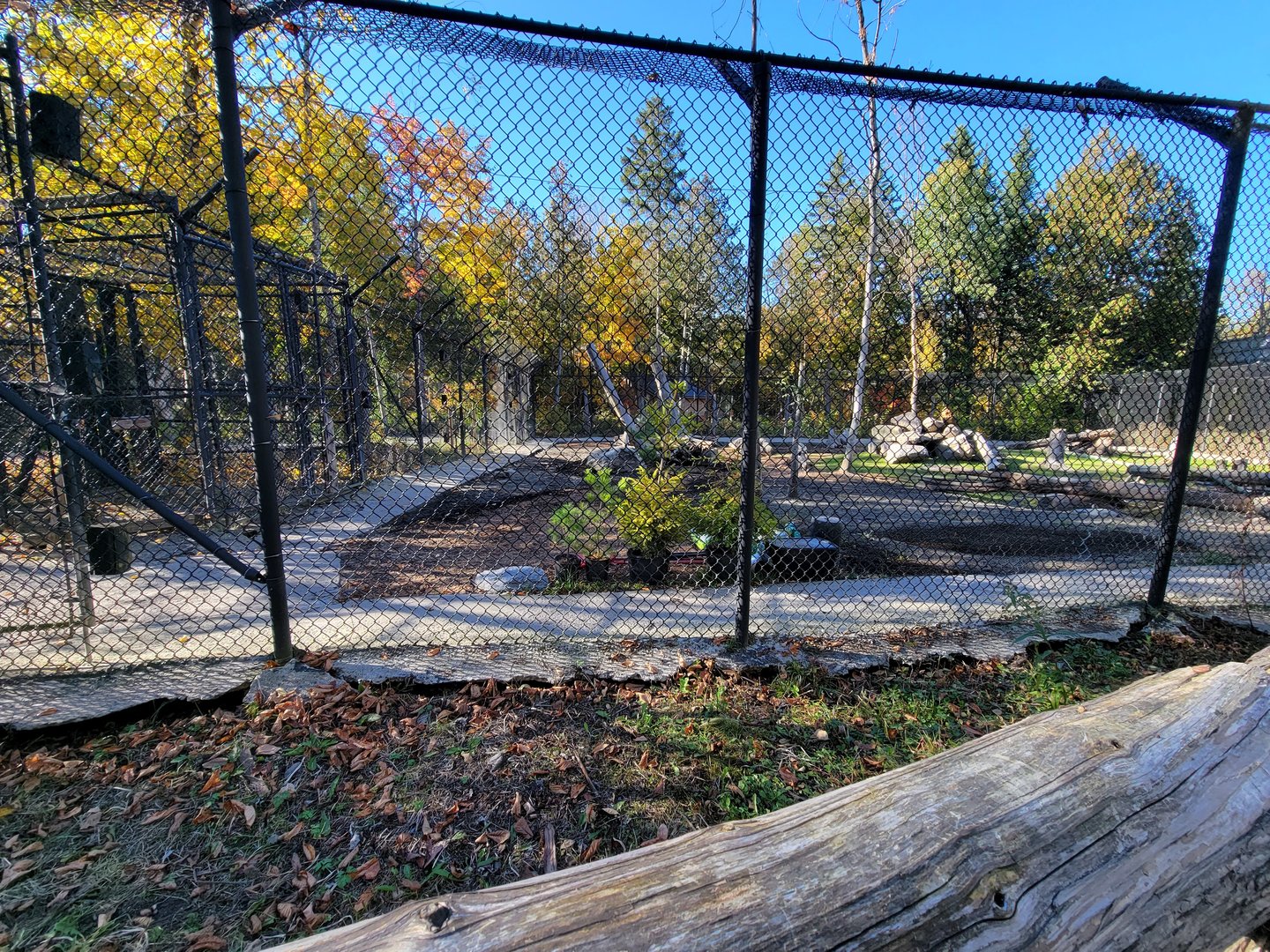 Miller Zoo - New/refurbished? exhibit, unsigned