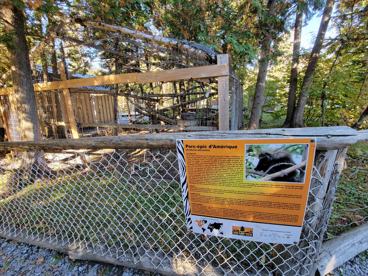 Miller Zoo - North American porcupine