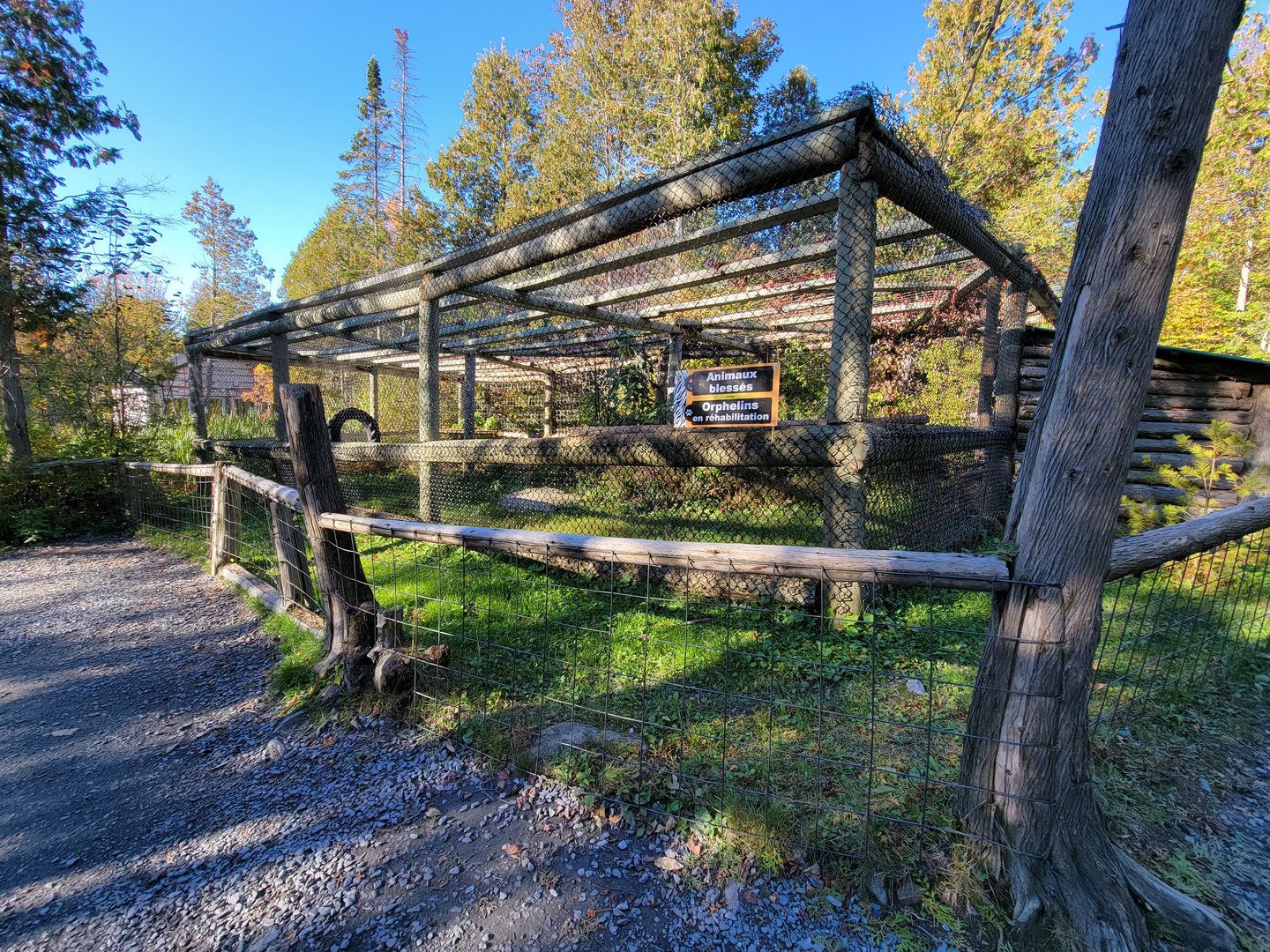 Miller Zoo - "orphans and rehabilitations", appeared empty