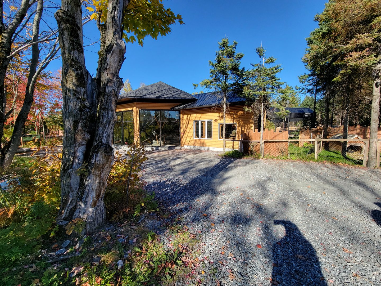 Miller Zoo - Path, baboon building