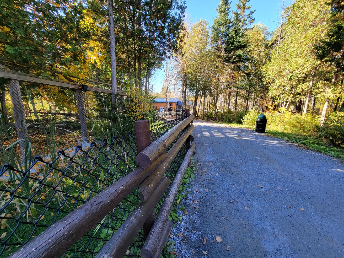 Miller Zoo - Path past gray wolves