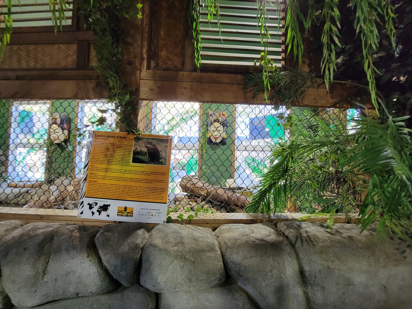 Miller Zoo - Pavillon Exotique, Asian short-clawed otter