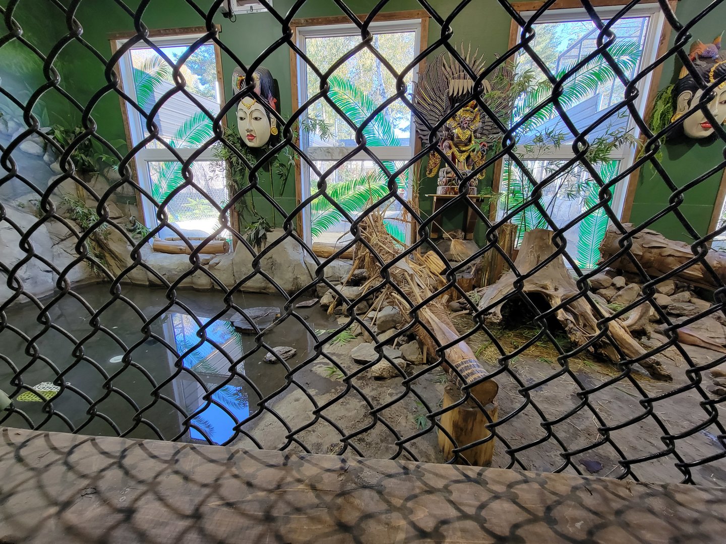 Miller Zoo - Pavillon Exotique, Asian short-clawed otter