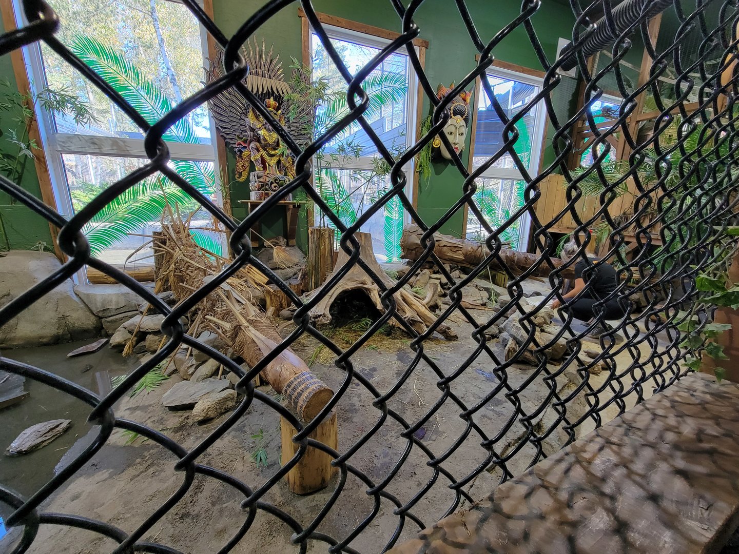 Miller Zoo - Pavillon Exotique, Asian short-clawed otter