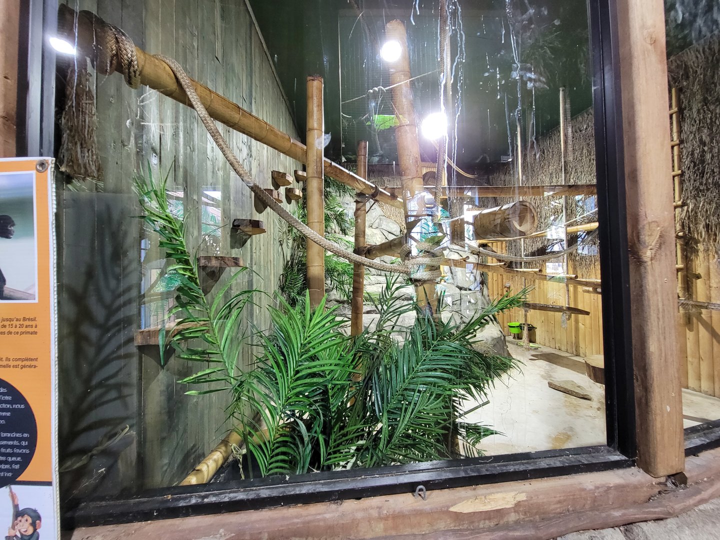 Miller Zoo - Pavillon Exotique, black-handed spider monkey