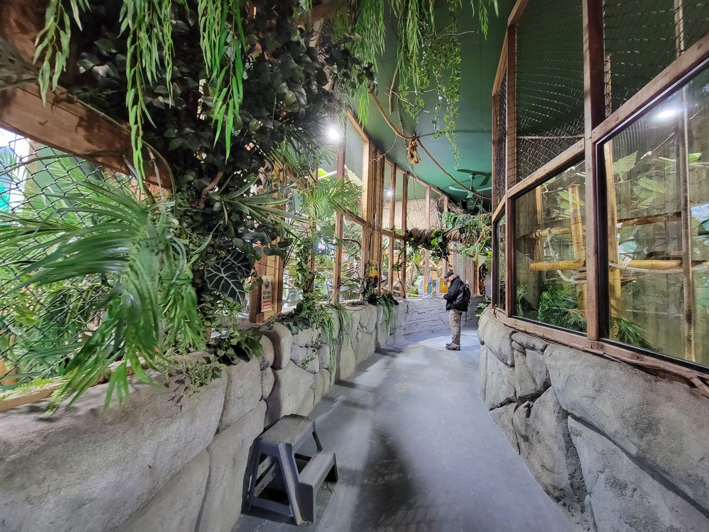 Miller Zoo - Pavillon Exotique, looking back towards entrance