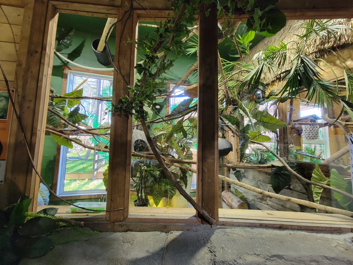 Miller Zoo - Pavillon Exotique, primate area