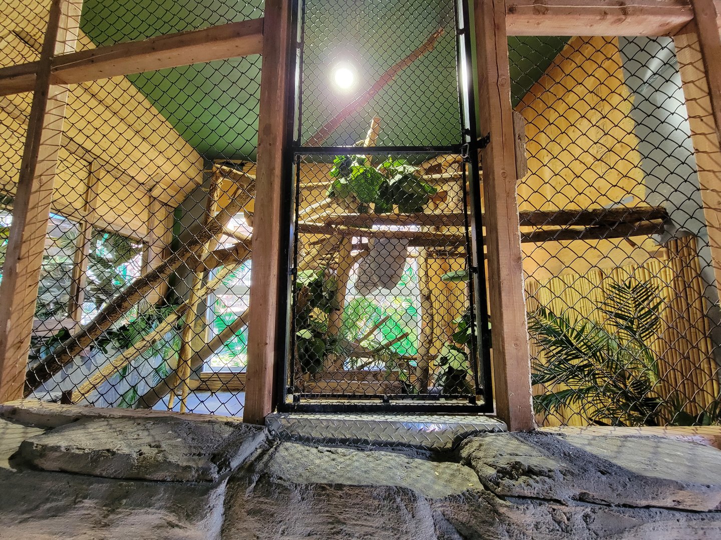 Miller Zoo - Pavillon Exotique, southern tamandua