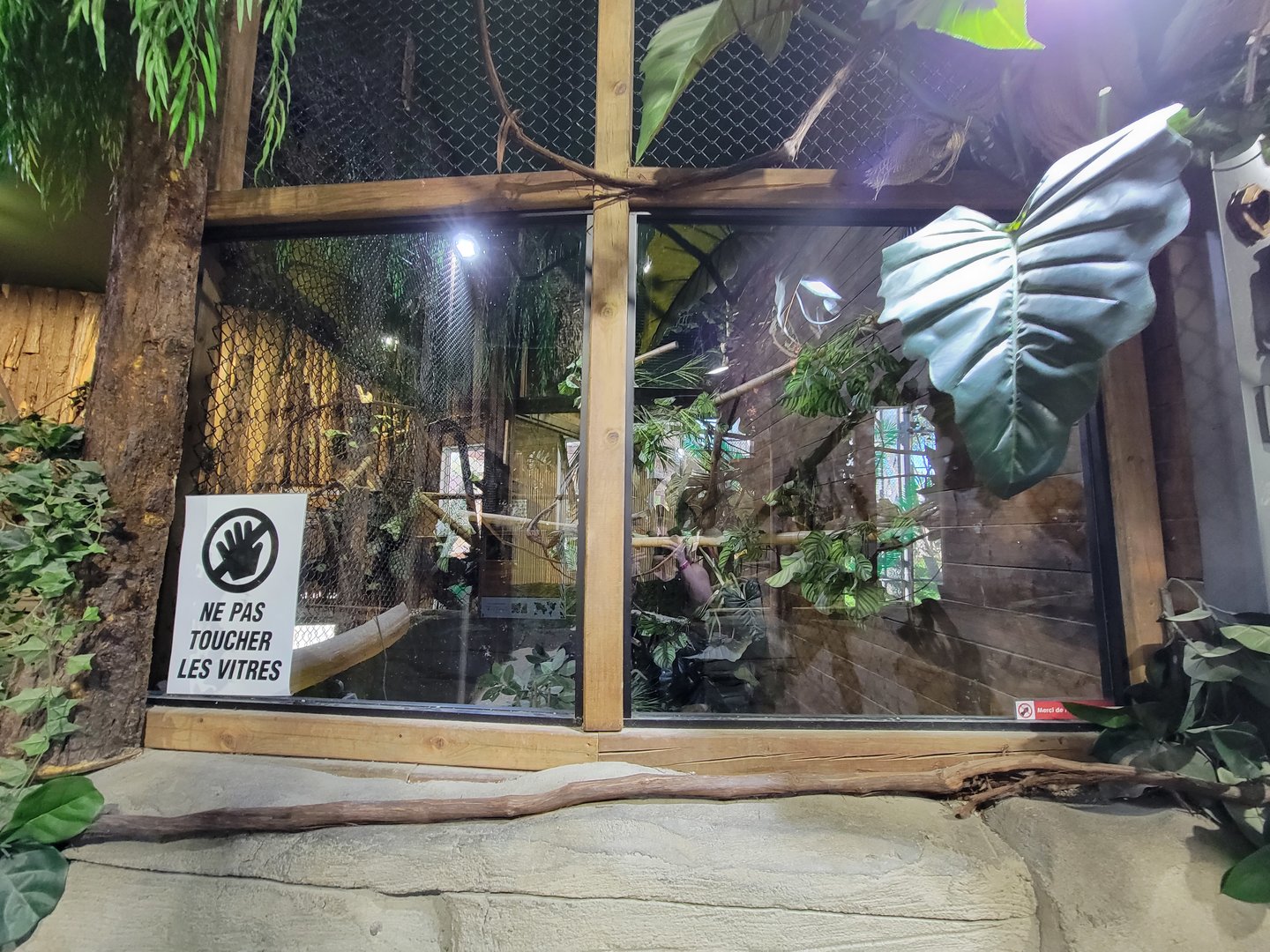 Miller Zoo - Pavillon Exotique, sulcata tortoise