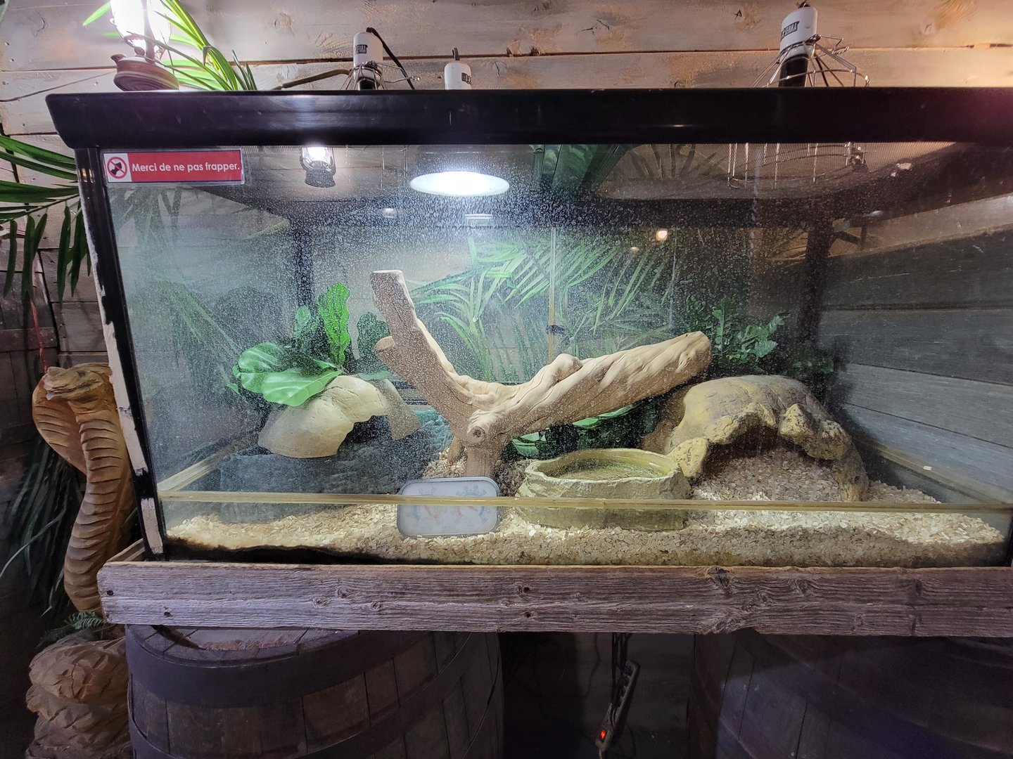 Miller Zoo - Pavillon Exotique, unsigned and unseen herp tank