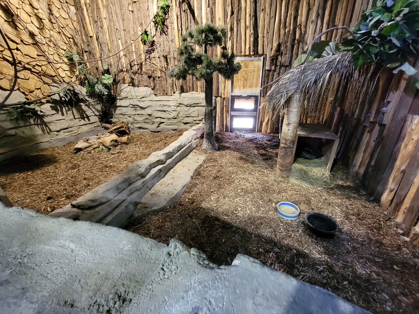 Miller Zoo - Pavillon Exotique, unsigned giant anteater