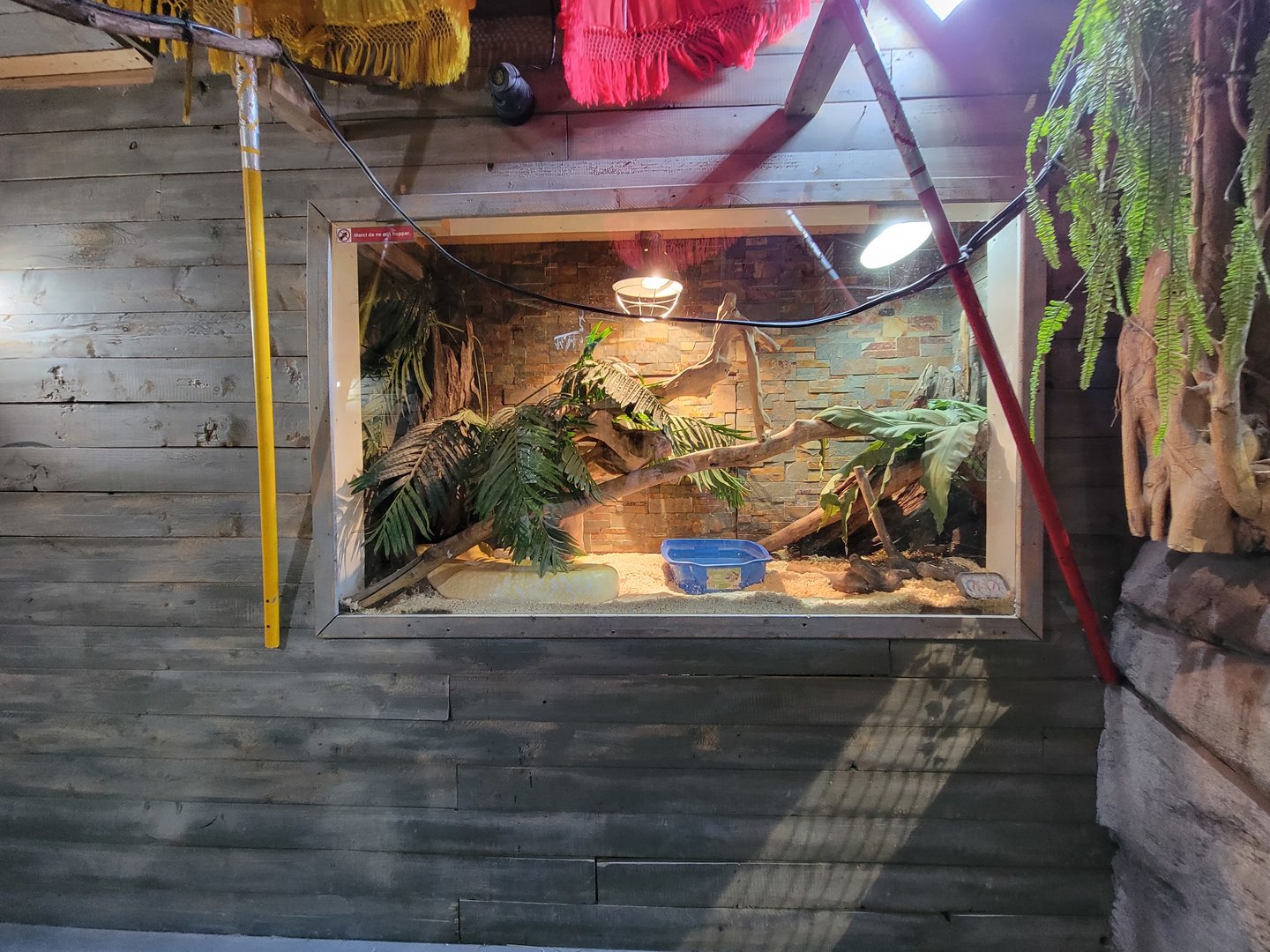 Miller Zoo - Pavillon Exotique, unsigned snake