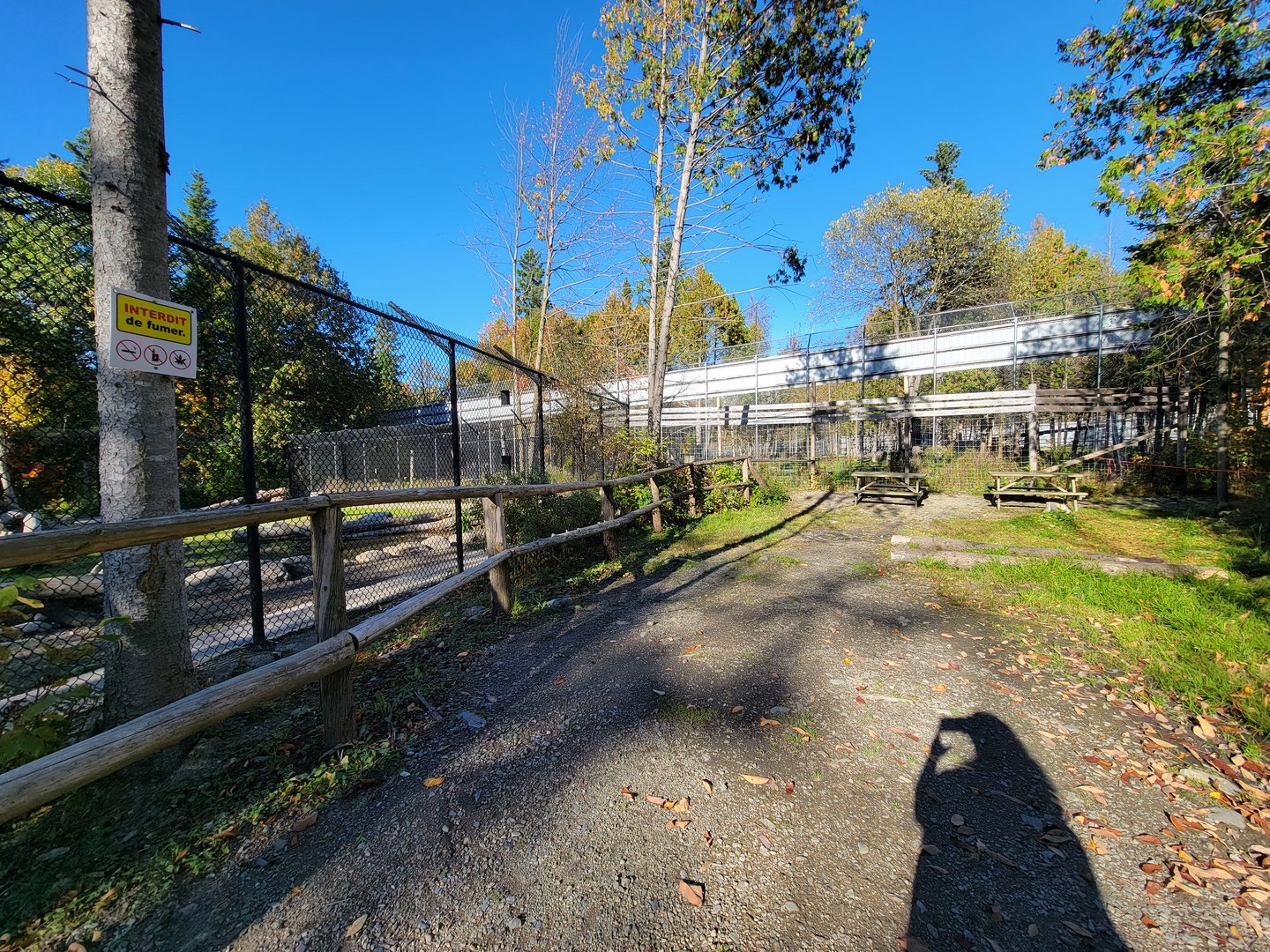 Miller Zoo - Picnic tables by white lion