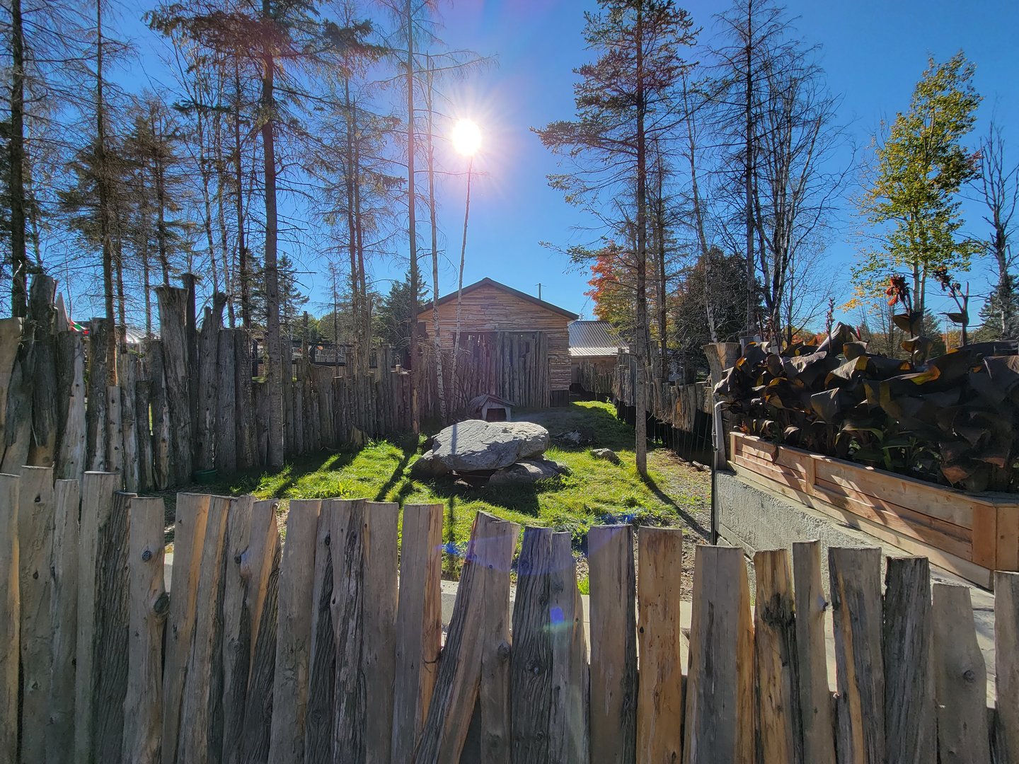 Miller Zoo - Signed for cape porcupine