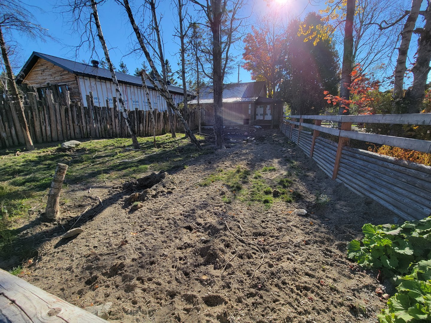 Miller Zoo - Signed for red river hogs