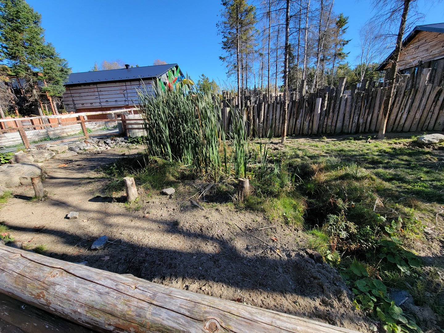 Miller Zoo - Signed for red river hogs