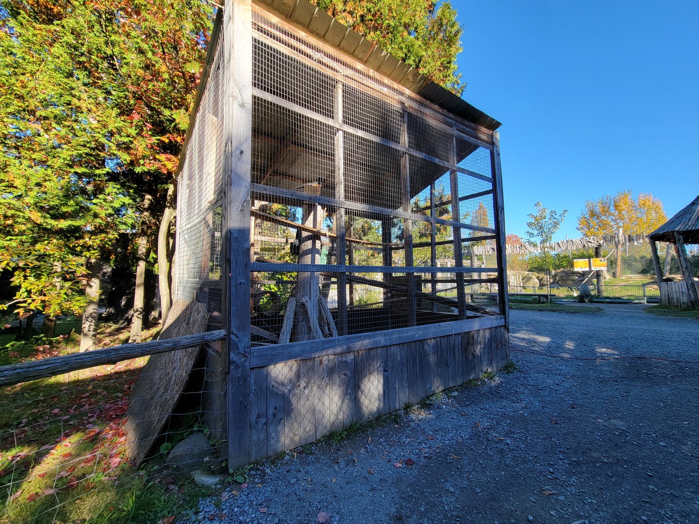 Miller Zoo - Some sort of hawk, red-tailed?
