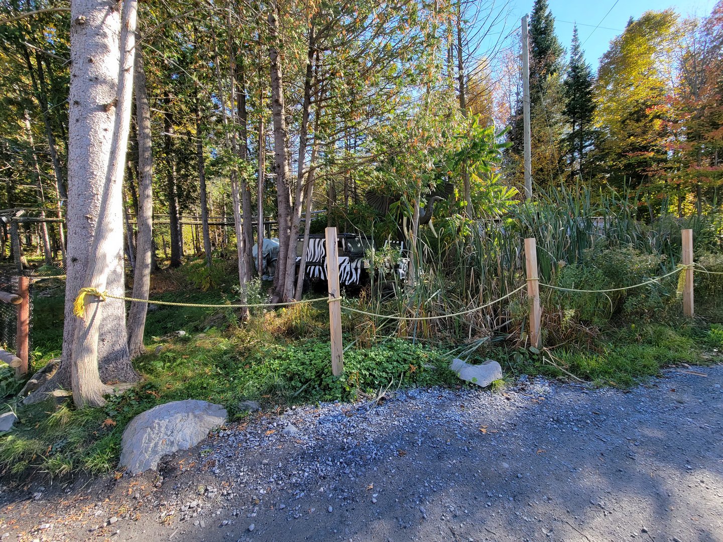 Miller Zoo - Some sort of safari decoration?