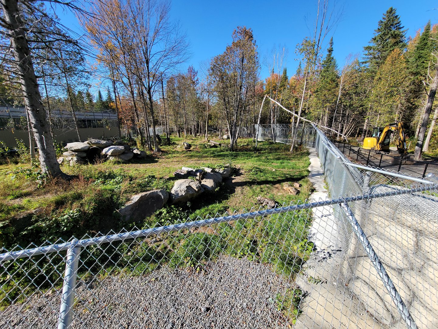 Miller Zoo - Spotted hyenas, construction to the right