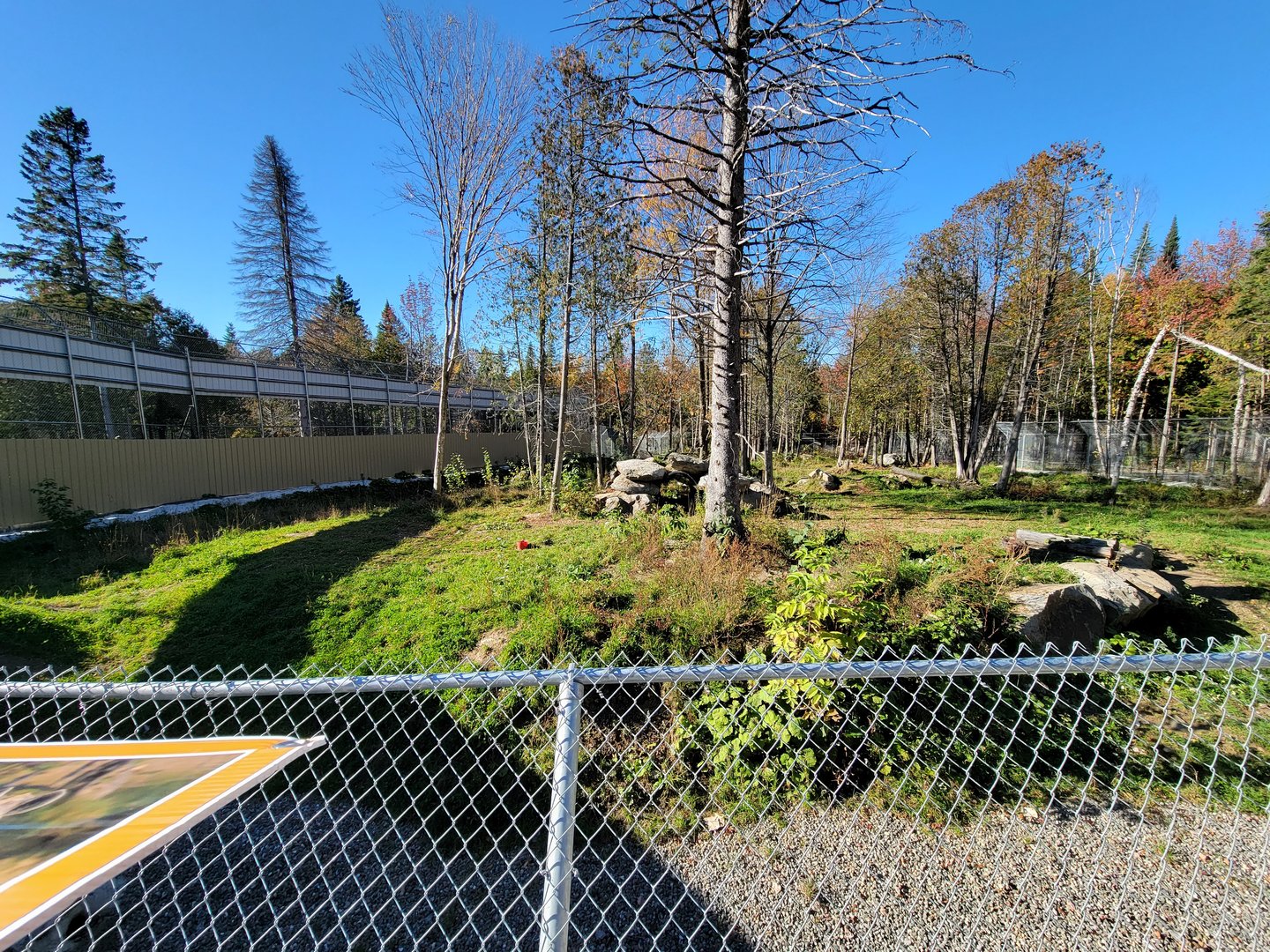Miller Zoo - Spotted hyenas