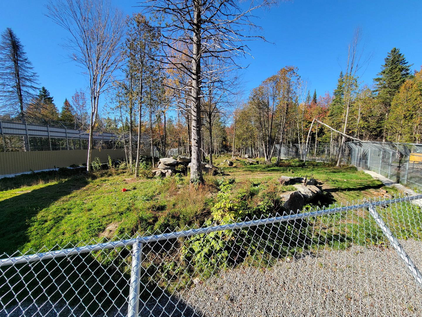 Miller Zoo - Spotted hyenas