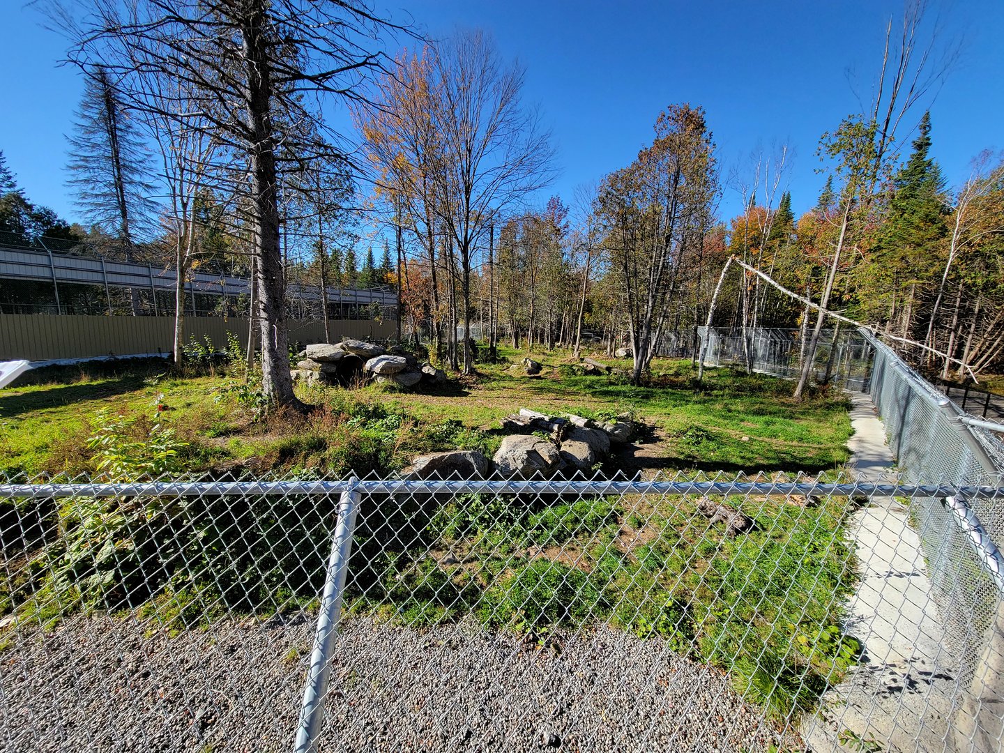 Miller Zoo - Spotted hyenas