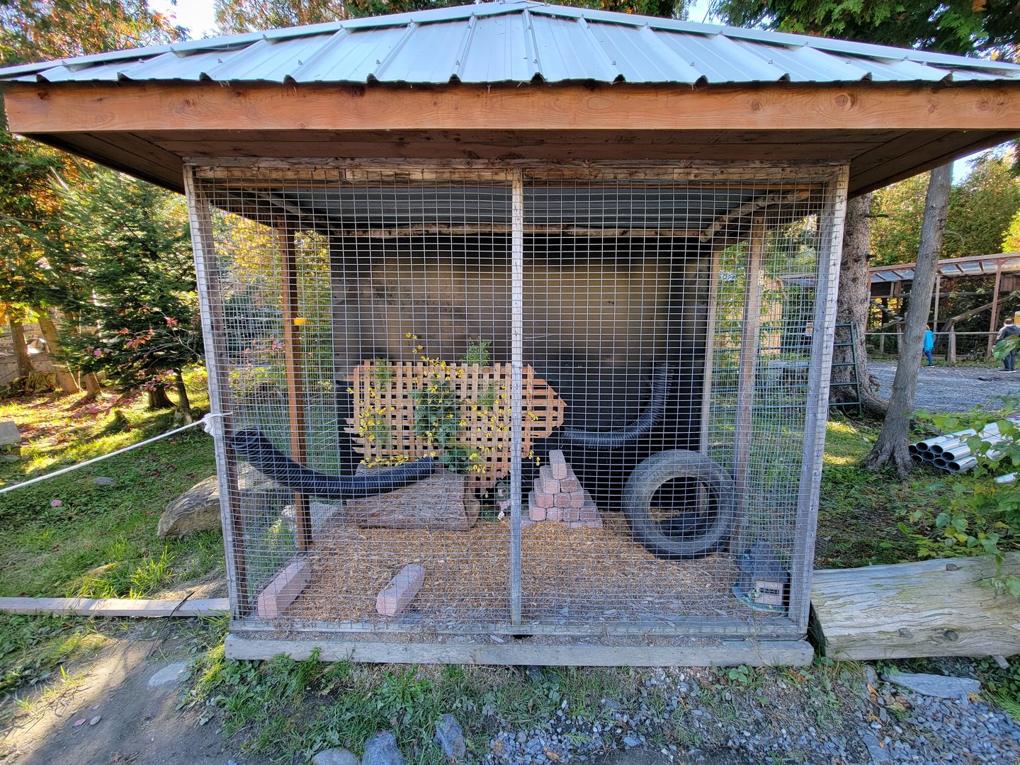 Miller Zoo - Unsigned/unseen, small mammal?