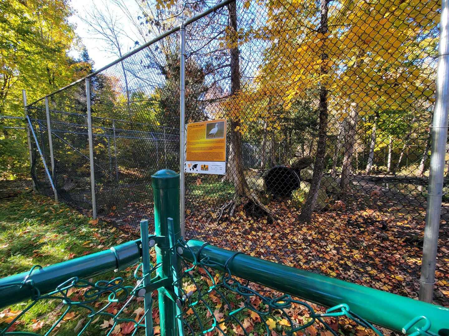 Miller Zoo - Waterfowl aviary
