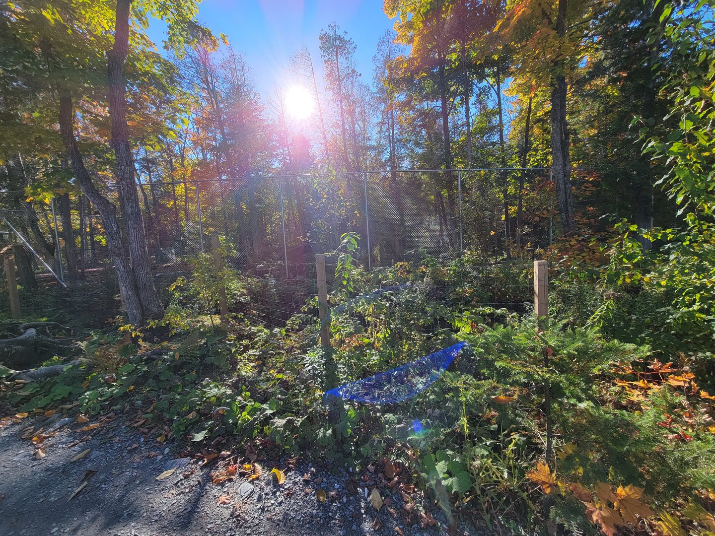 Miller Zoo - Waterfowl aviary