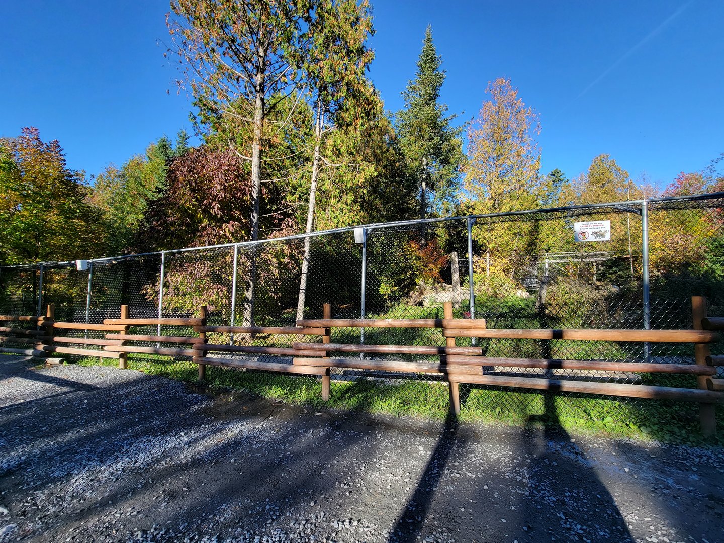 Miller Zoo - White wolf