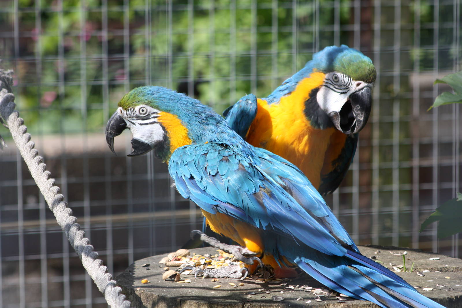 Millie and Monty, 8th June 2014