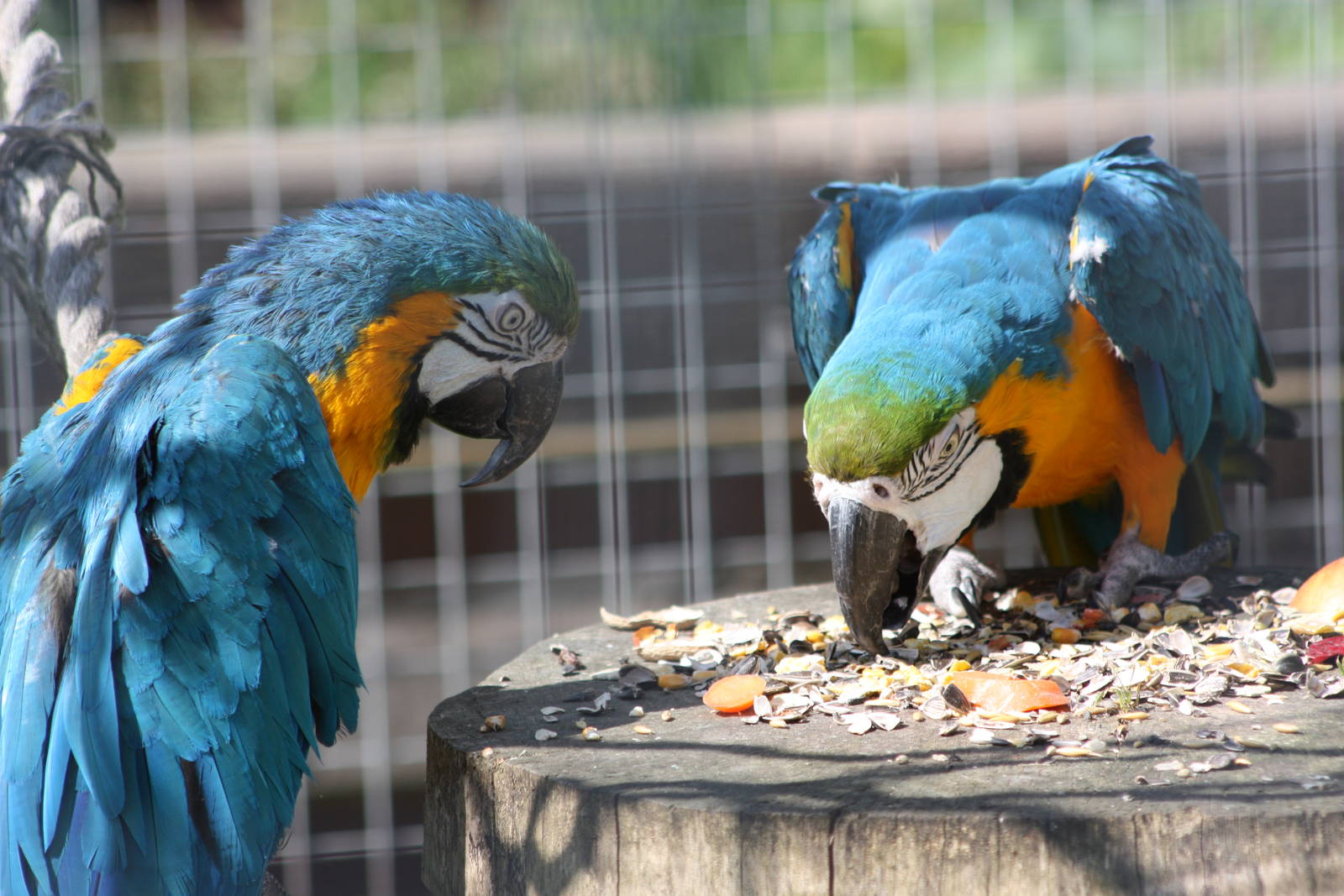 Millie and Monty, 8th June 2014
