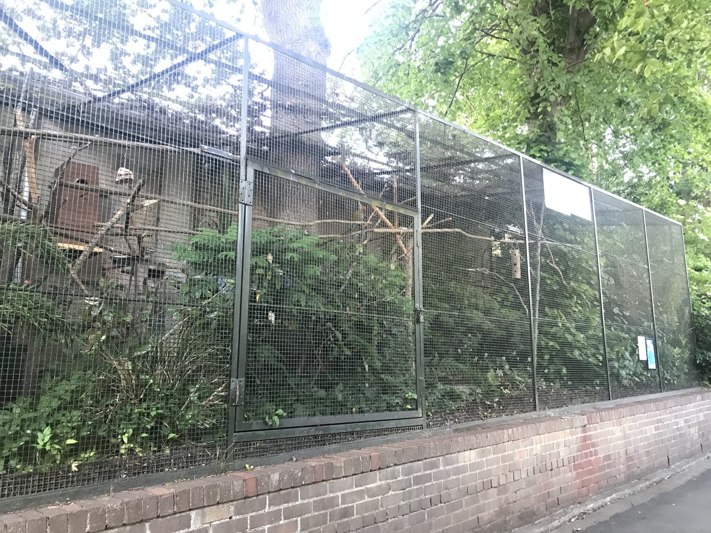 Millitary macaw aviary