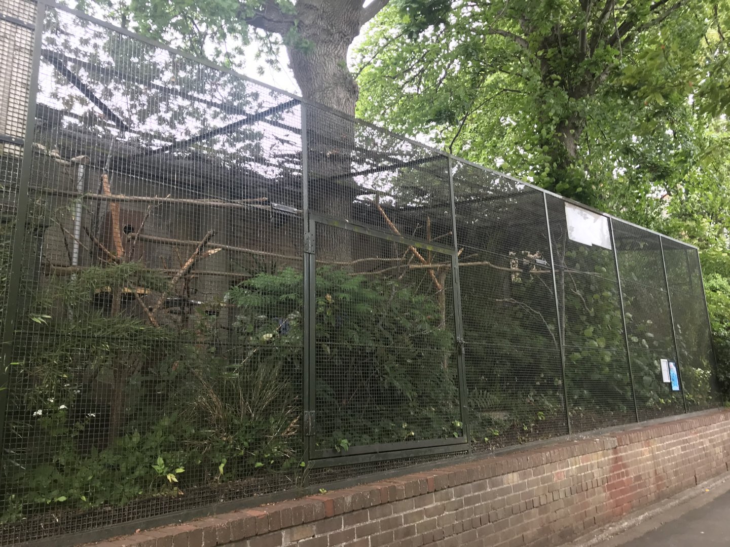 Millitary macaw aviary