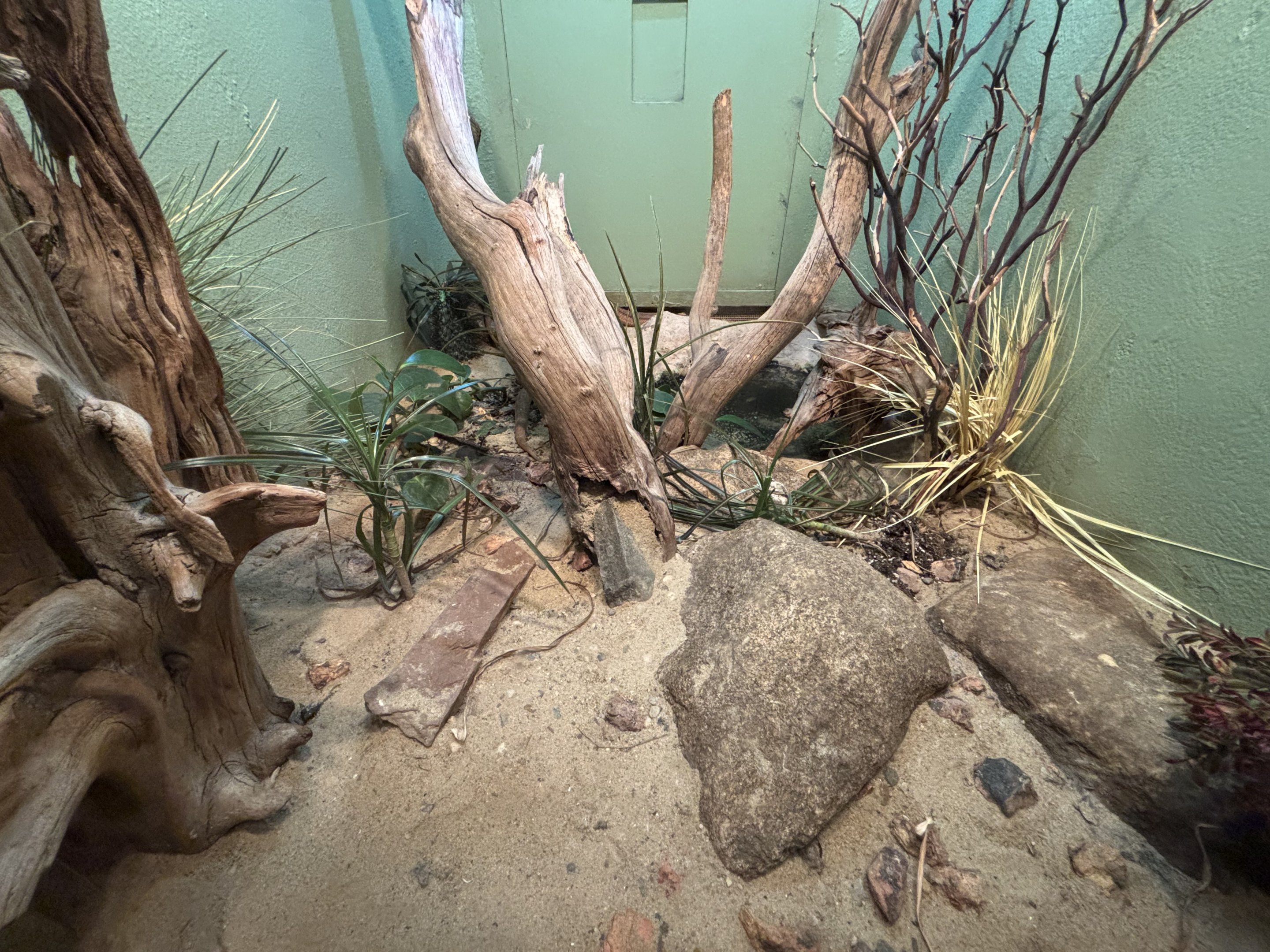 Milos Viper Exhibit