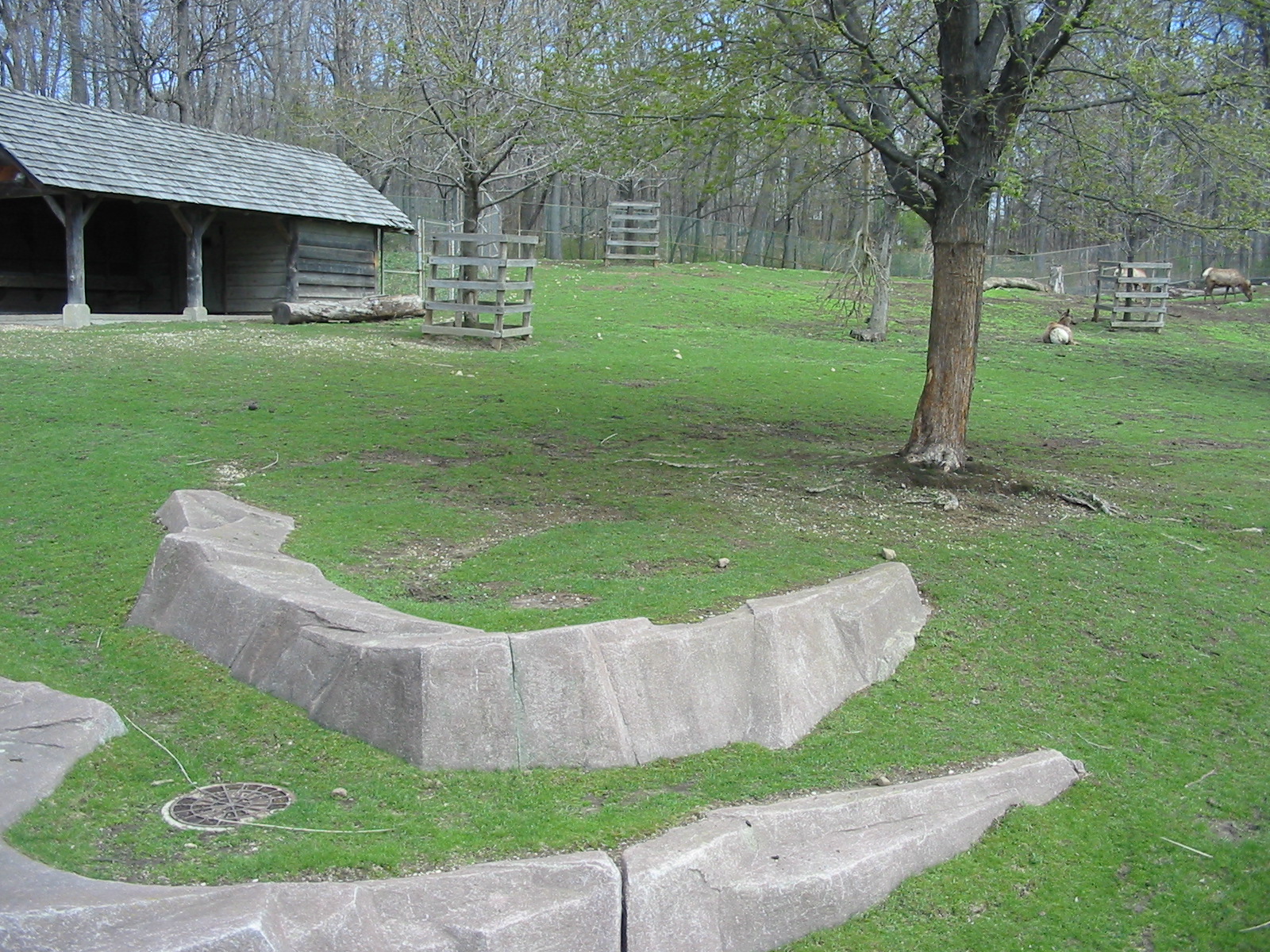 Milwaukee County Zoo 2003 - American Elk exhibit
