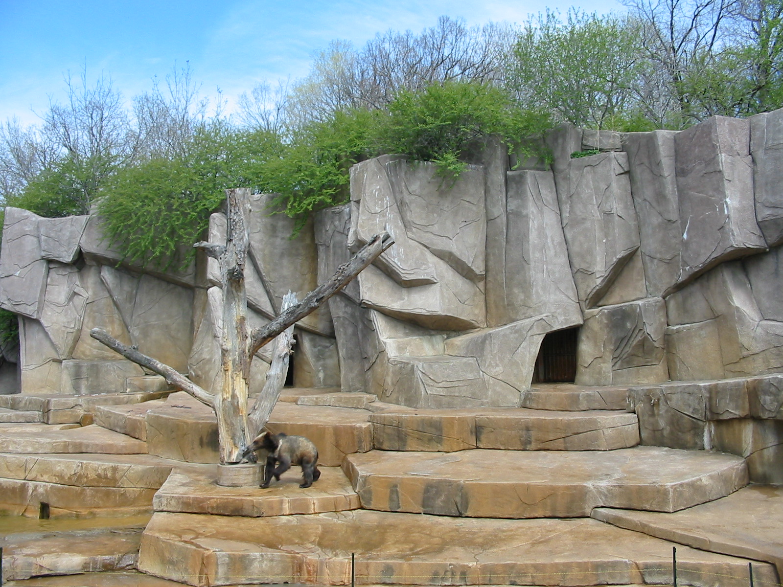 Milwaukee County Zoo 2003 - Brown Bear exhibit