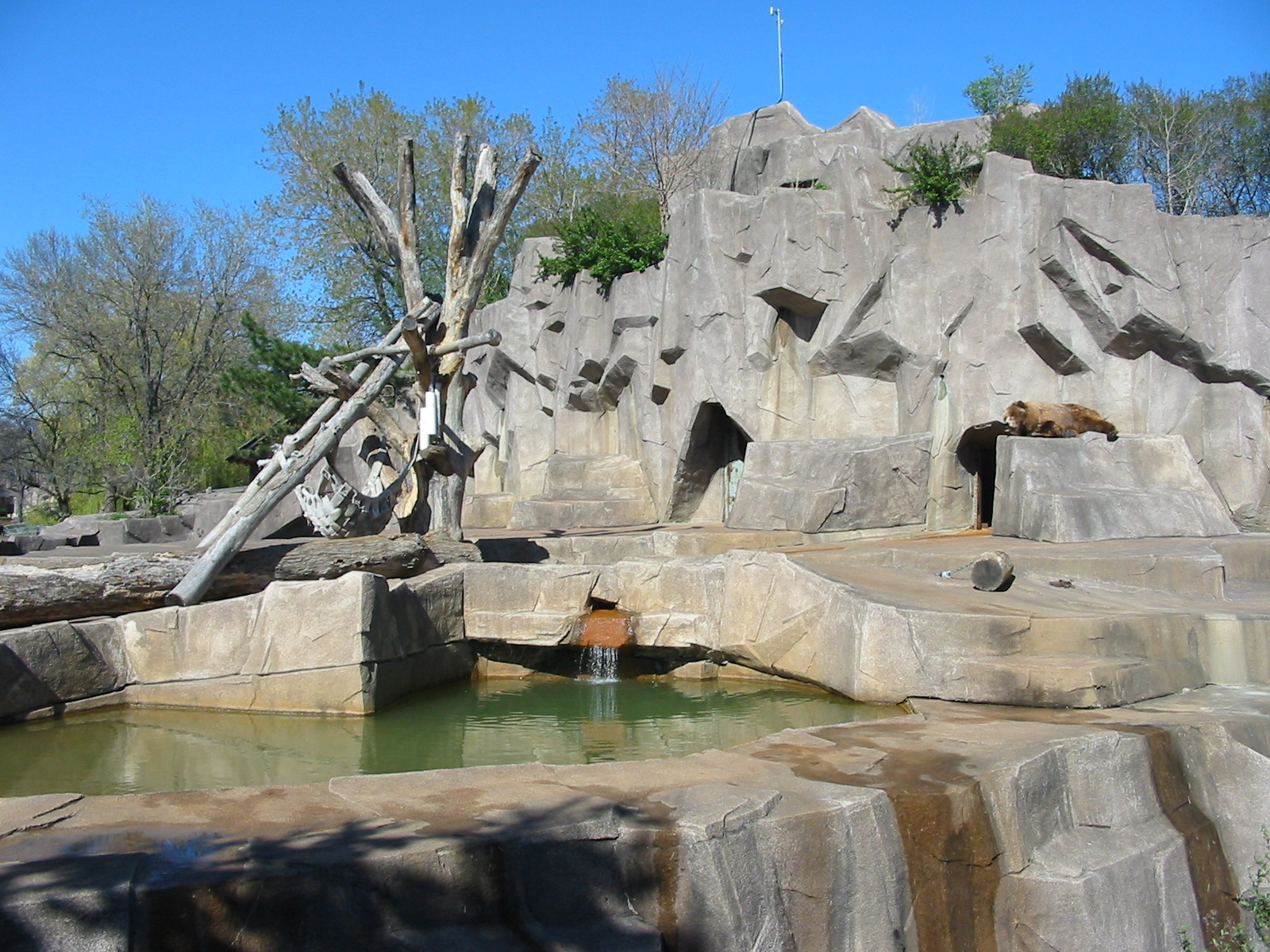 Milwaukee County Zoo 2003 - Grizzly Bear exhibit
