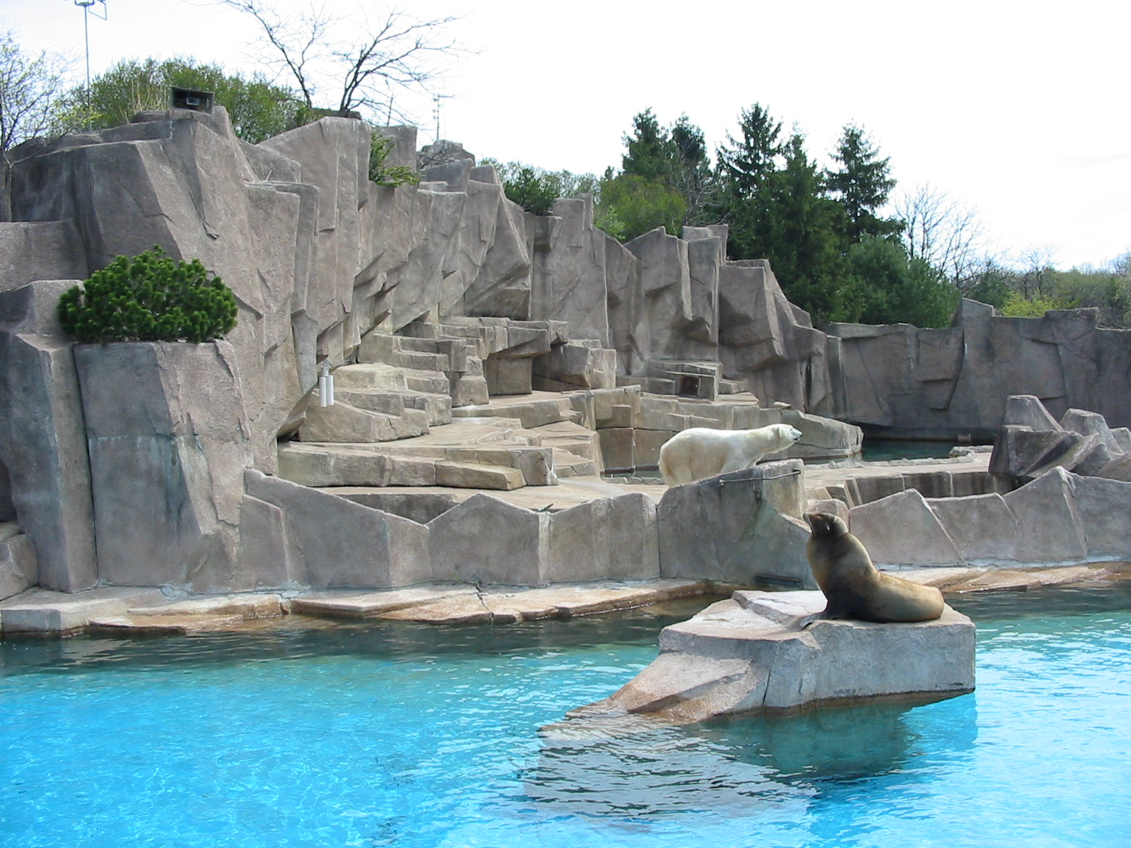 Milwaukee County Zoo 2003 - Hagenbeck-style immersion